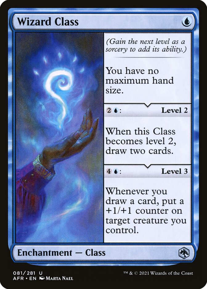 Wizard Class (Adventures in the Forgotten Realms) 