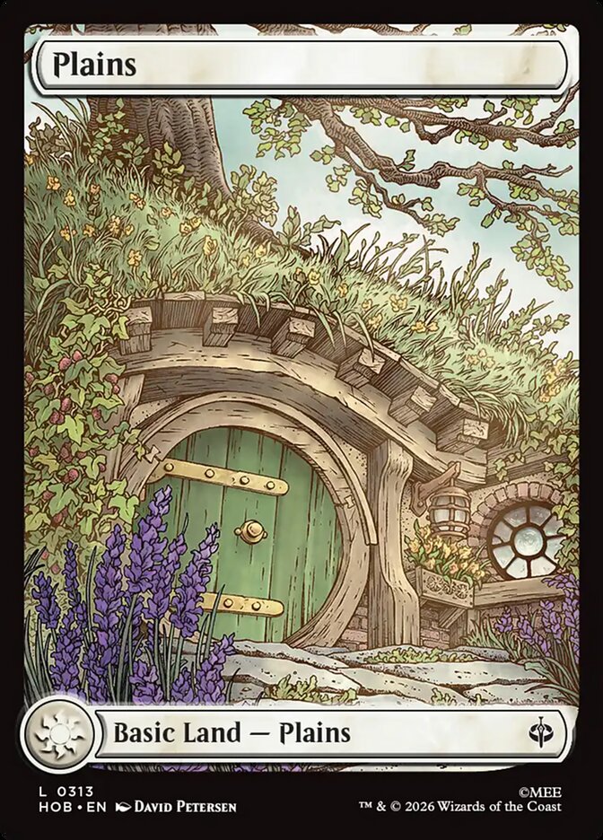Plains 313 (The Hobbit) 