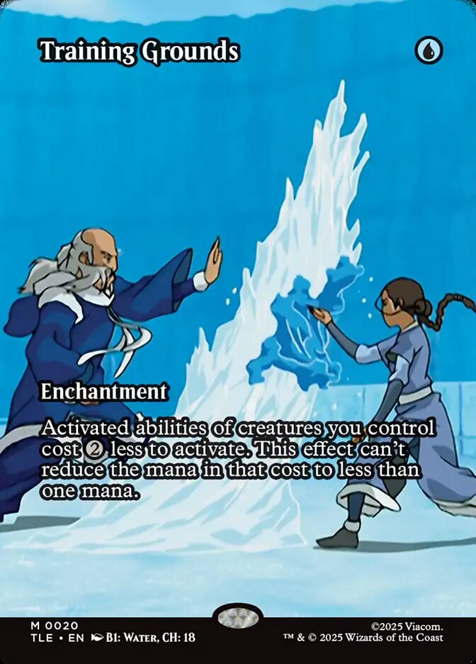 Training Grounds 20/317 (Avatar: The Last Airbender: Eternal-Legal)  - Borderless Foil