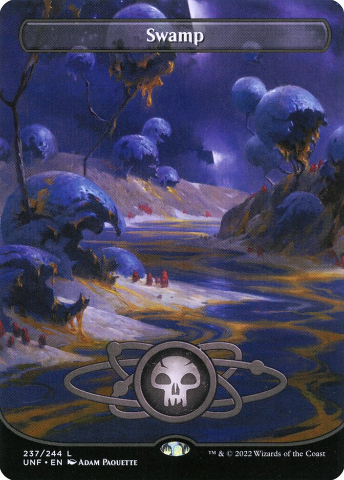 Swamp 237/244 (Unfinity)  - Borderless Foil