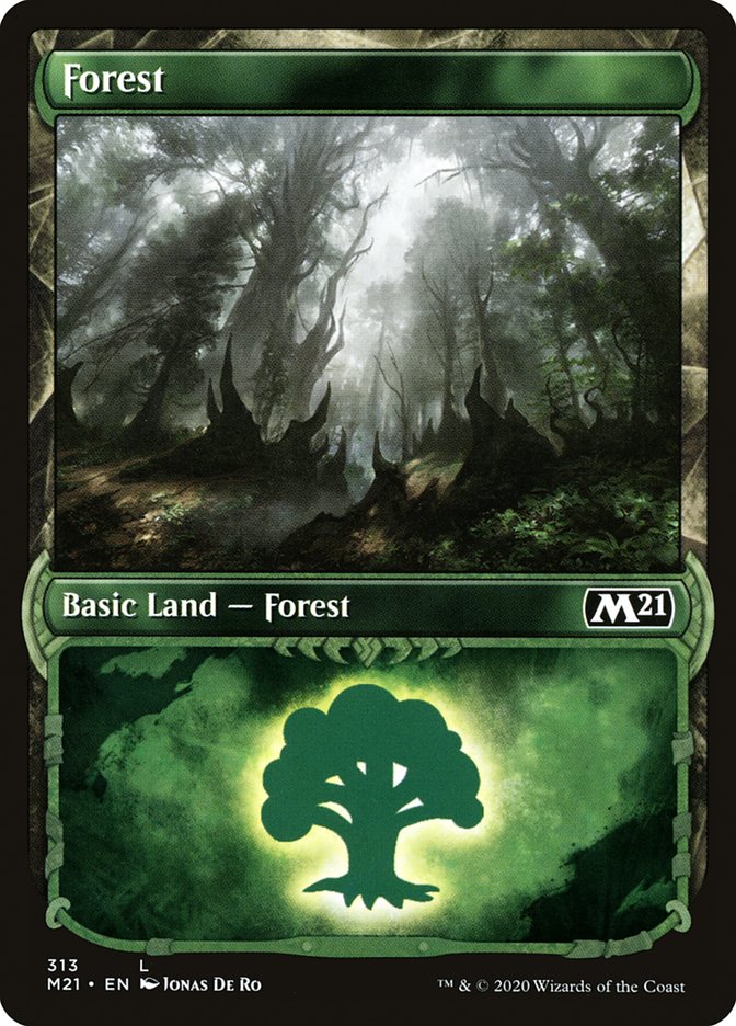 Forest 313 (Core Set 2021)  - Foil