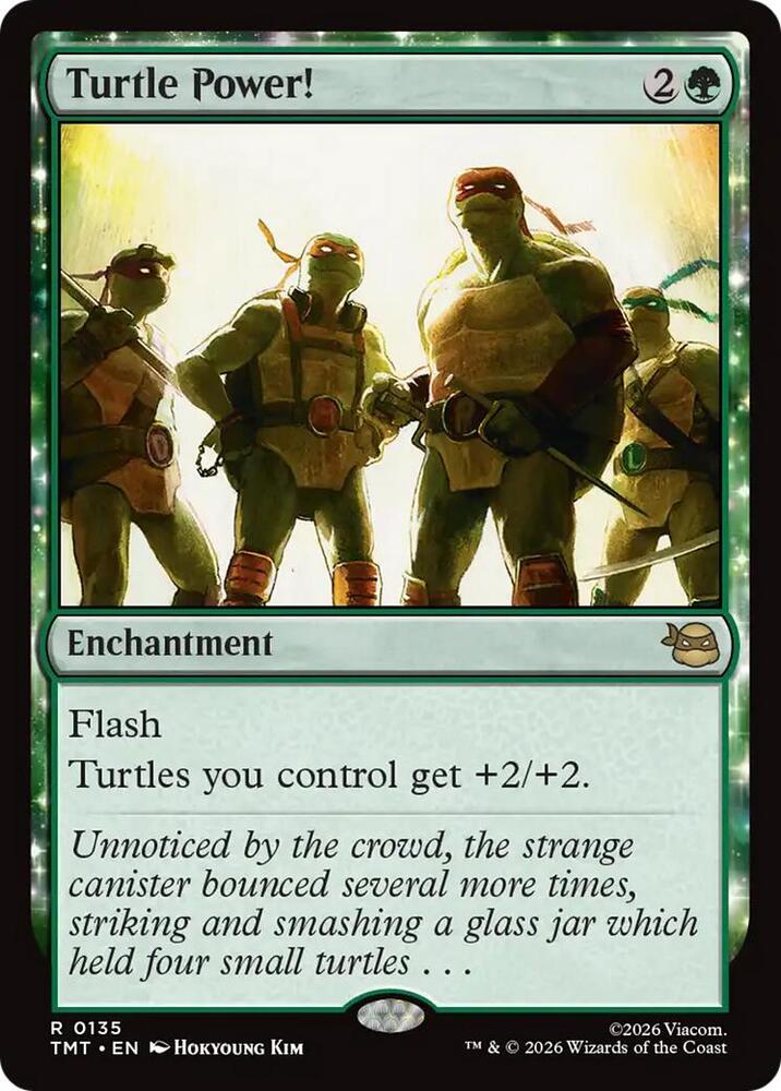 Turtle Power (Teenage Mutant Ninja Turtles)  - undefined