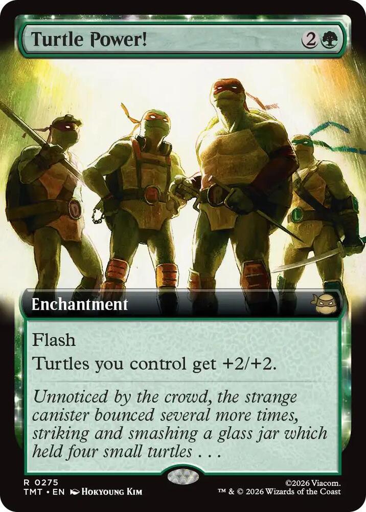 Turtle Power Extended Art (Teenage Mutant Ninja Turtles) 