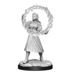 D&D Magic the Gathering Unpainted Miniatures Rootha & Zimone