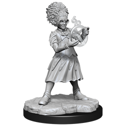 D&D Magic the Gathering Unpainted Miniatures Rootha & Zimone
