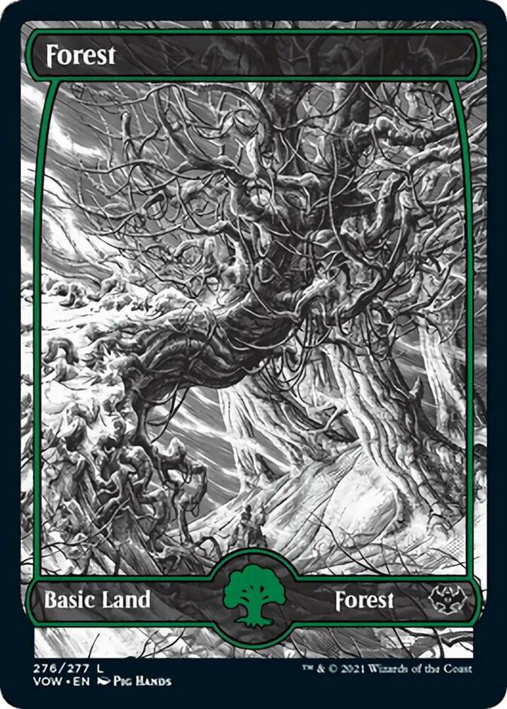 Forest 276 276 (Innistrad: Crimson Vow) 