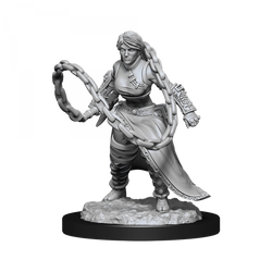 D&D Nolzurs Marvelous Unpainted Miniatures Human Monk Female