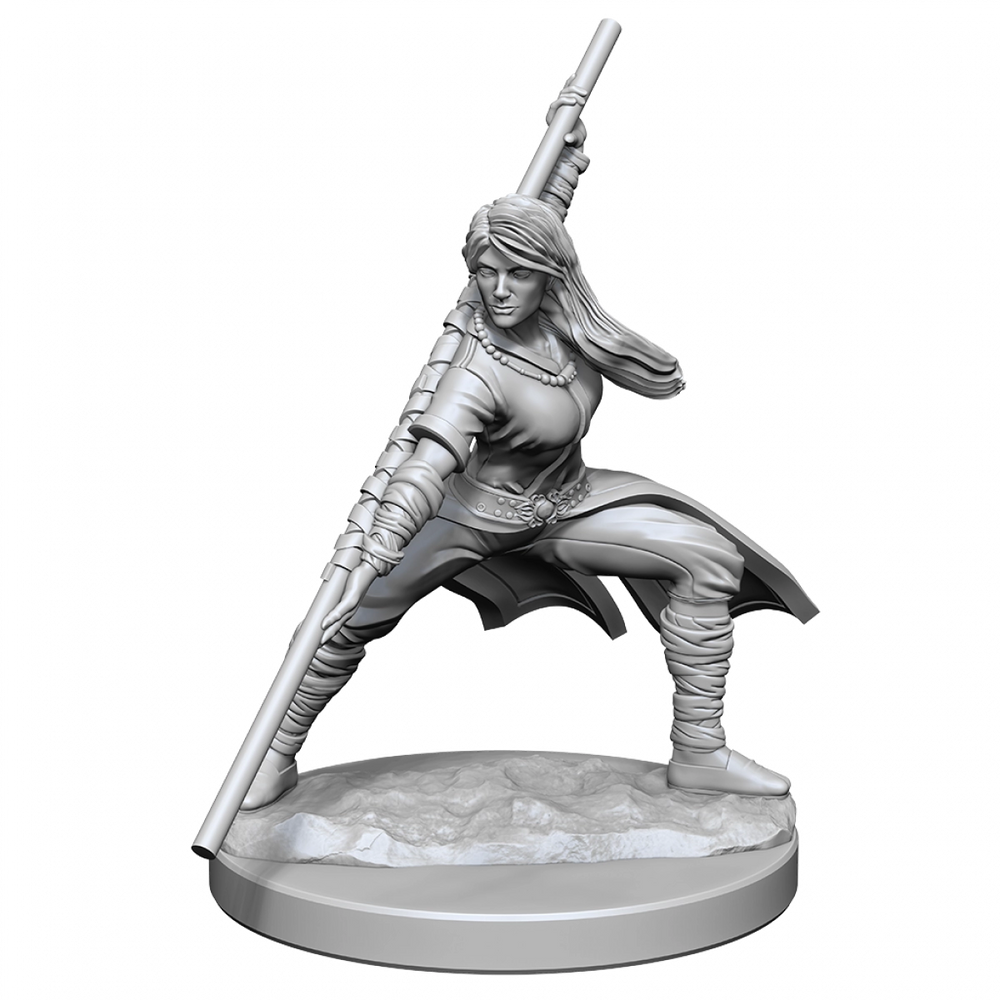 D&D Nolzurs Marvelous Unpainted Miniatures Human Monk Female