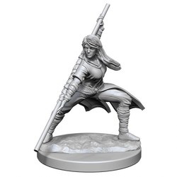 D&D Nolzurs Marvelous Unpainted Miniatures Human Monk Female