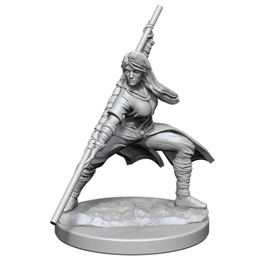 D&D Nolzurs Marvelous Unpainted Miniatures Human Monk Female