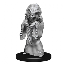 D&D Nolzurs Marvelous Unpainted Miniatures Night Hag & Dusk Hag