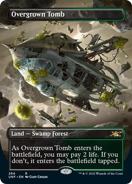 Overgrown Tomb Borderless (Unfinity)  - Foil