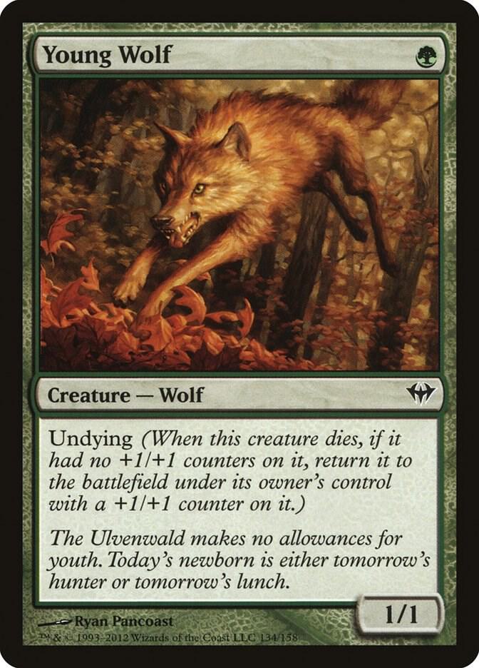Young Wolf (Dark Ascension)  - undefined